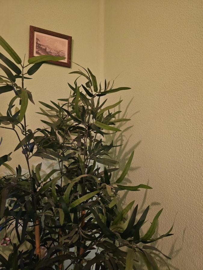 Habitacion Amplia Y Centrica En Piso Compartido A Coruña Zewnętrze zdjęcie